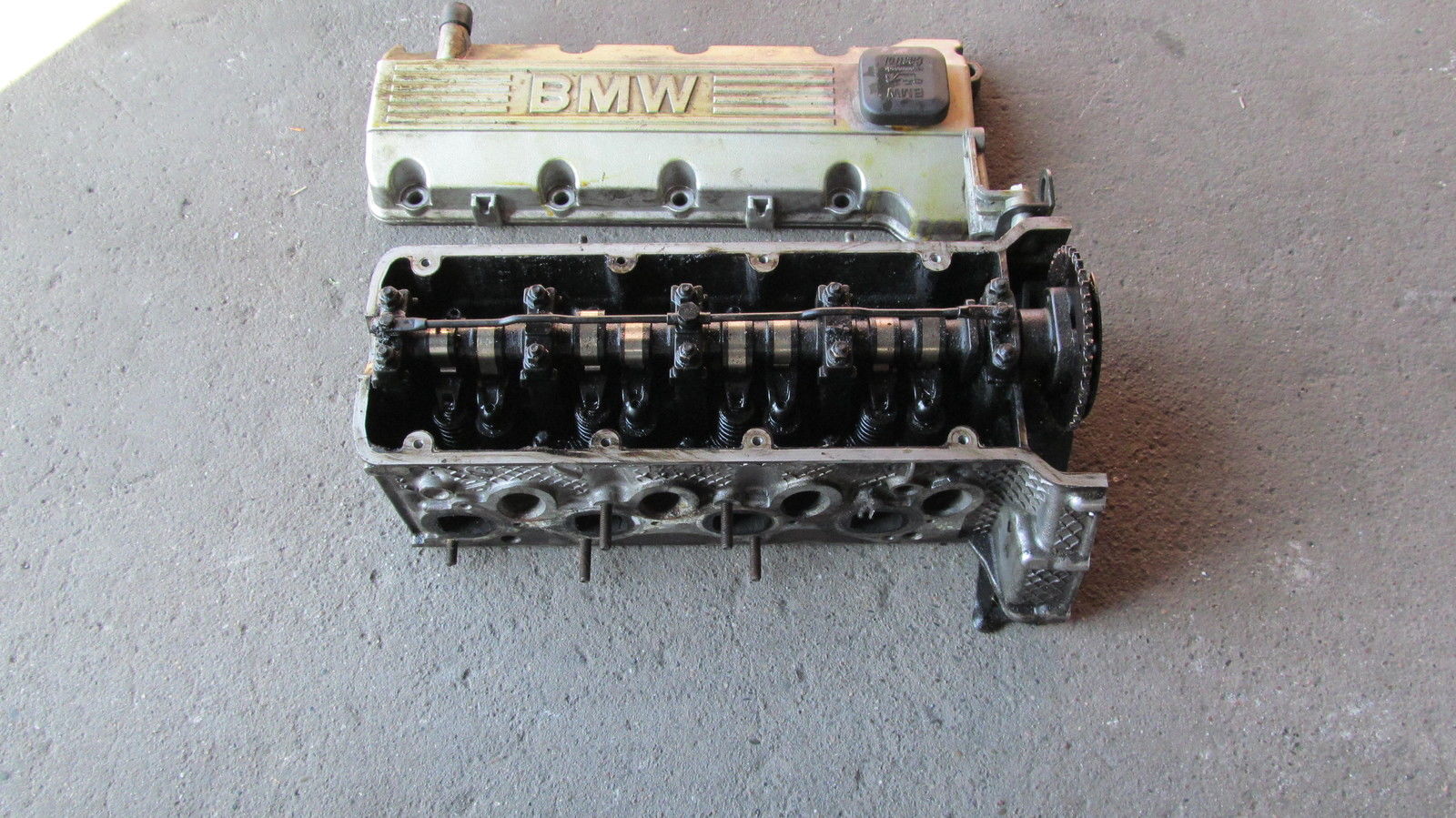 1743987v.jpg